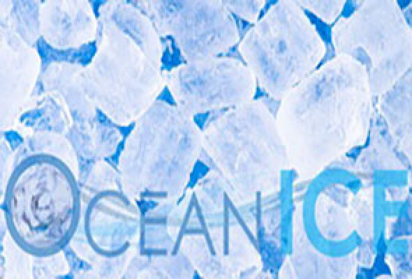 Ocean Ice Sdn Bhd